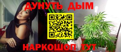 мдпв Шелехов