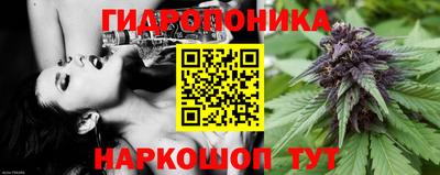 мдпв Шебекино