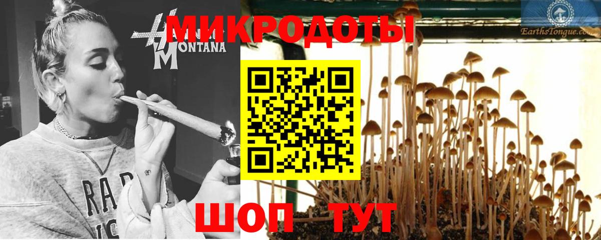 Псилоцибиновые грибы GOLDEN TEACHER  Вход с VPN  Гай 