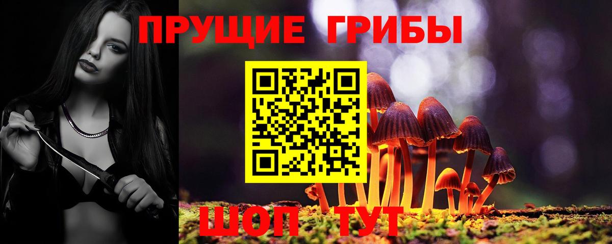 Псилоцибиновые грибы MAGIC MUSHROOMS Гай