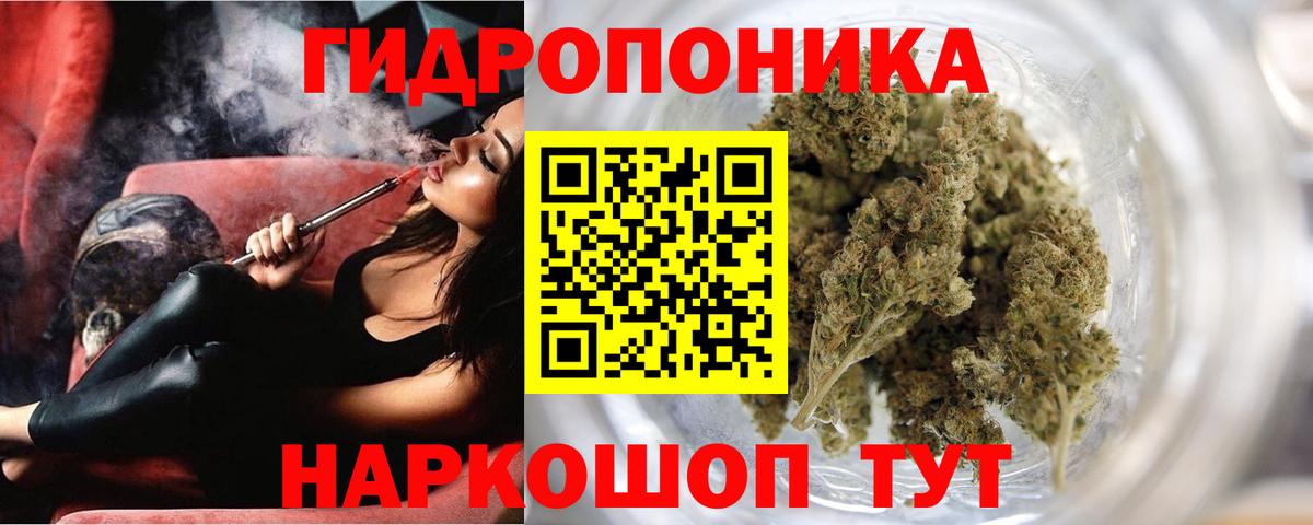 Гай  Канабис гибрид  Вход с VPN  Шишки марихуана марихуана 